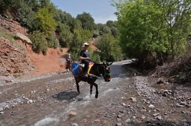 Riad Idar Ouirgane Bagian luar foto