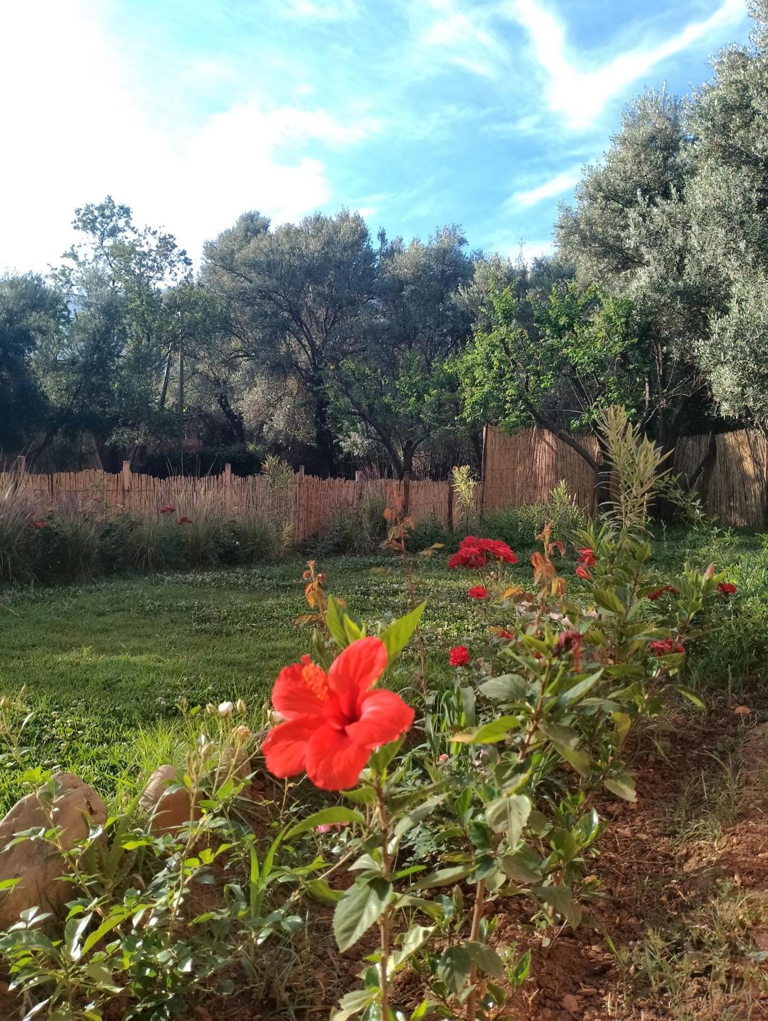Riad Idar Ouirgane Ruang foto